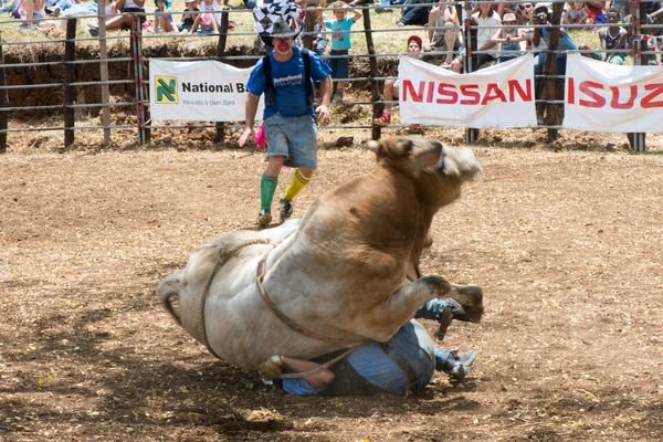 Fun and excitement on the second day of the 2017 edition of the Port Vila Rodeo.
