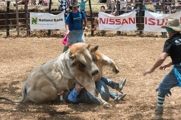 Fun and excitement on the second day of the 2017 edition of the Port Vila Rodeo.
