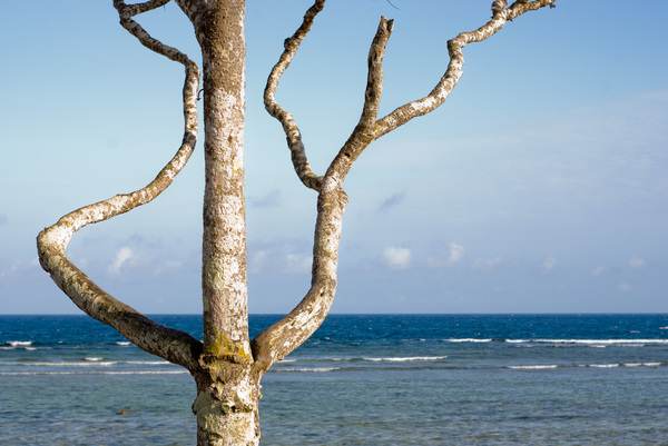 Photos taken during an afternoon stroll in Port Vila's Pango neighbourhood.
