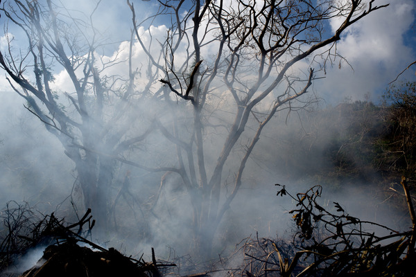 Smoke from the burning of massive amounts of refuse in the aftermath of cyclone Pam.
