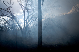 Smoke from the burning of massive amounts of refuse in the aftermath of cyclone Pam.
