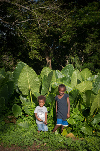 More shots for an Island Life piece on land reform.
