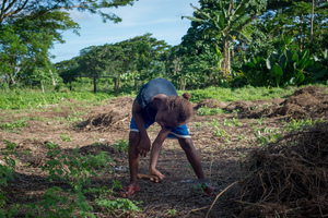 More shots for an Island Life piece on land reform.
