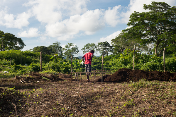 More shots for an Island Life piece on land reform.

