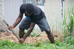 Shots from a memorial tree planting ceremony.
