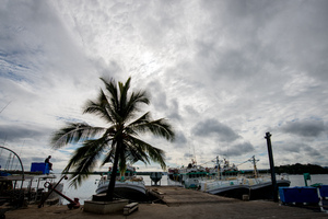 Shots of the tuna processing facility in Port Vila.
