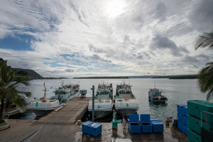Shots of the tuna processing facility in Port Vila.
