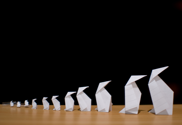 Some of the tireless support volunteers took time out from their hectic days to decorate the conference reception area with these little tikes.
