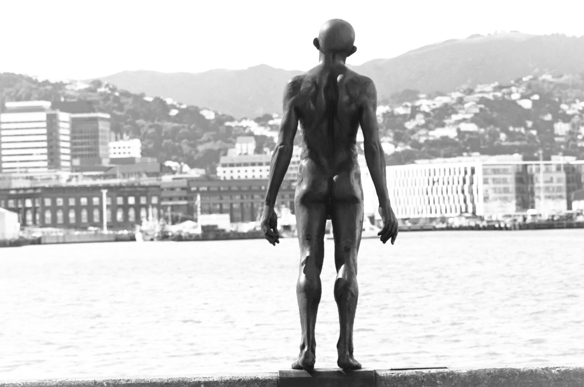 Some shots taken on a sunny day on Wellington's seafront.
